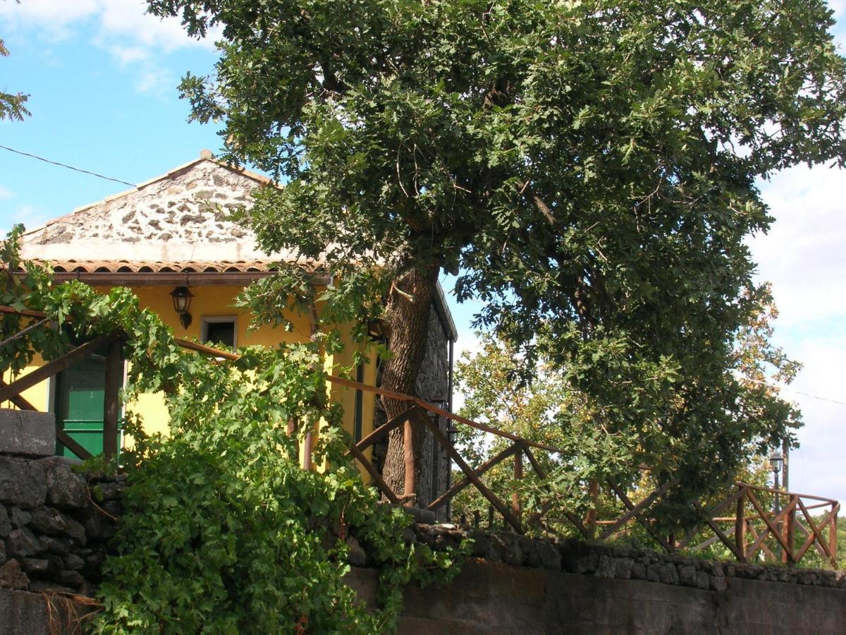 Casa Vacanza La Papuzza Mare e Etna Villa Mascali Esterno foto