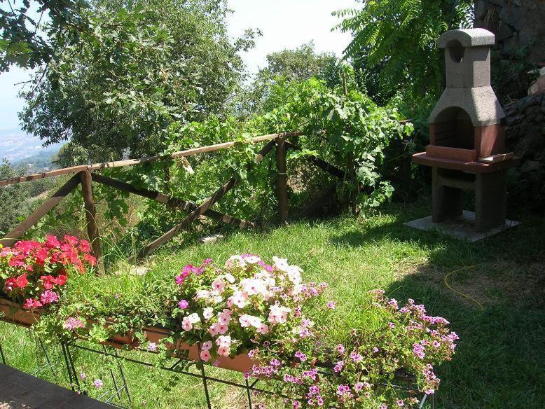 Casa Vacanza La Papuzza Mare e Etna Villa Mascali Esterno foto