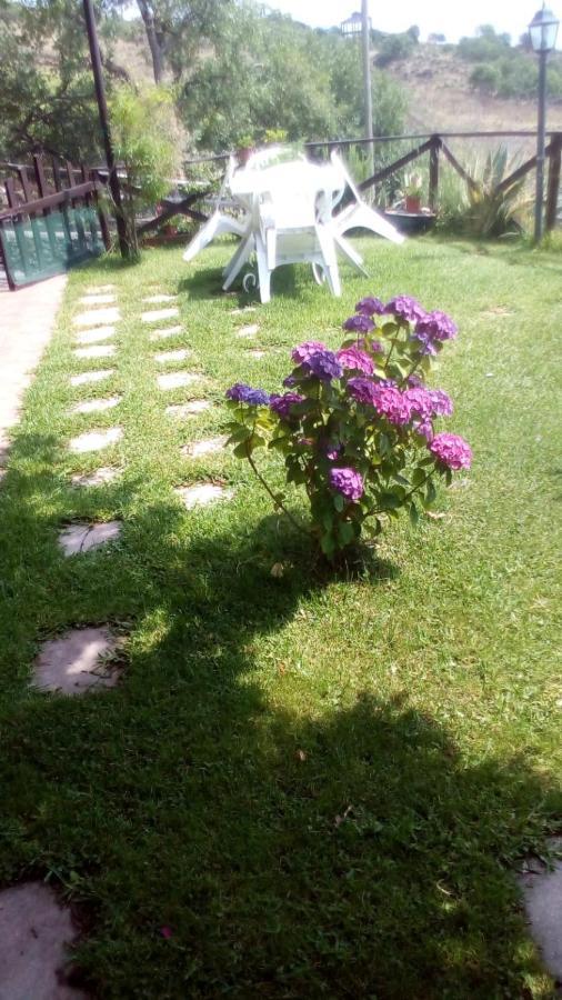 Casa Vacanza La Papuzza Mare e Etna Villa Mascali Esterno foto