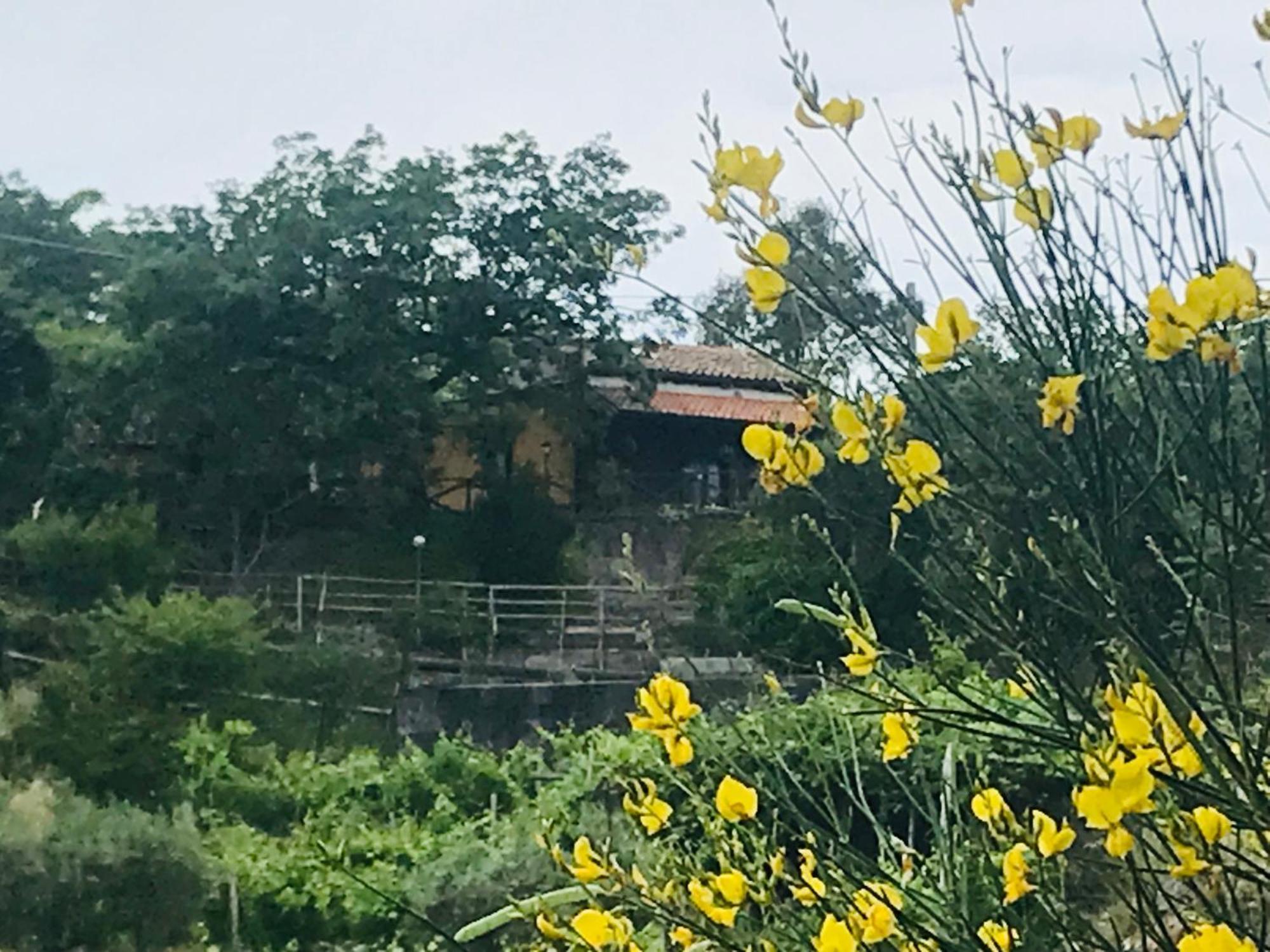 Casa Vacanza La Papuzza Mare e Etna Villa Mascali Esterno foto